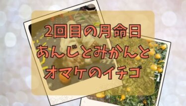 2回目の月命日とあんじとみかんとオマケのイチゴ